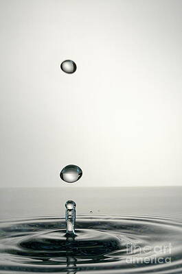 Wall Art featuring the photograph Splashing Water Droplet #6 by Sami Sarkis Photography