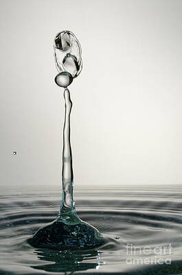 Wall Art featuring the photograph Splashing Water Droplet #7 by Sami Sarkis Photography