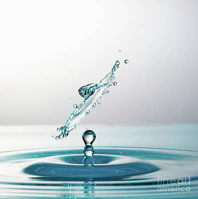 Wall Art featuring the photograph Water Drops Colliding To Shape An Umbrella Splash #7 by Sami Sarkis Photography