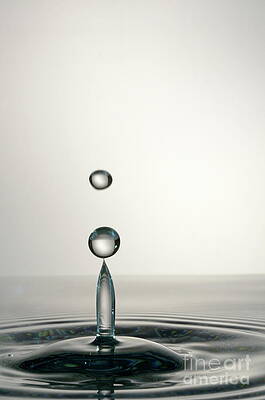 Wall Art featuring the photograph Splashing Water Droplet #8 by Sami Sarkis Photography