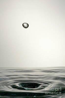 Wall Art featuring the photograph Splashing Water Droplet #9 by Sami Sarkis Photography
