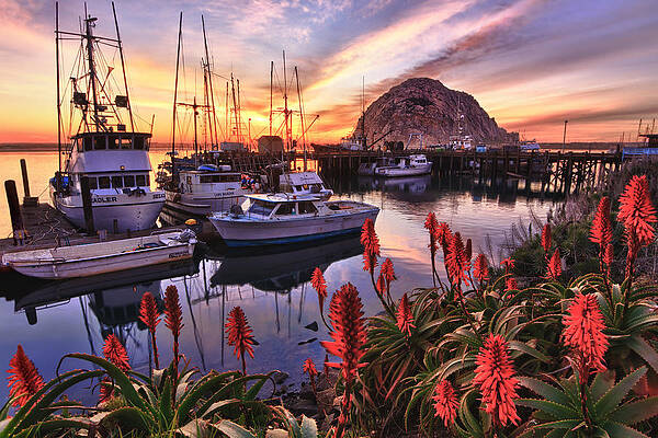 Sunset at Morro Bay Harbor Photograph