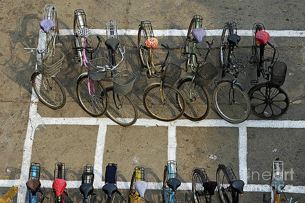 Transportation Wall Art featuring the photograph Bicycles Parked On Street by Sami Sarkis Photography