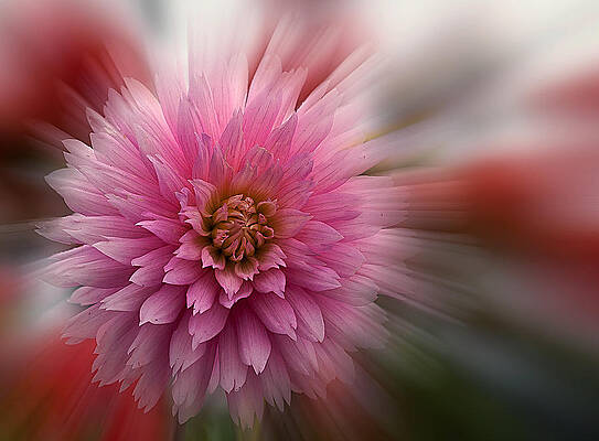 Abstract Photograph - Blast Off by Jean Noren