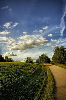 Landscape Wall Art featuring the photograph Broemmelsiek Park Walking Track by Bill and Linda Tiepelman