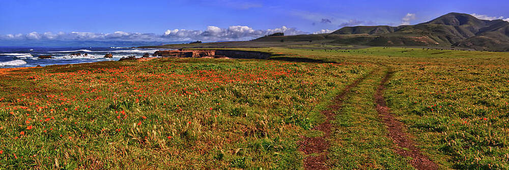 Sea Photograph - Buchon Trail by Beth Sargent
