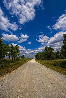 Landscape Wall Art featuring the photograph Busch Wildlife Hiking Trail by Bill and Linda Tiepelman