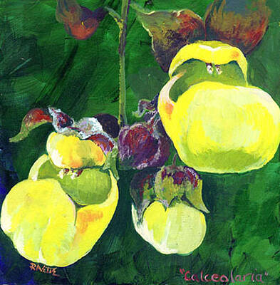 Wall Art featuring the painting Calceolaria by Raette Meredith