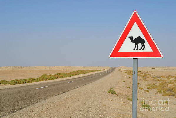 Transportation Wall Art featuring the photograph Camels Crossing Road Sign by Sami Sarkis Photography