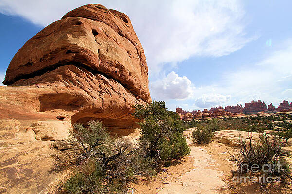 Utah Photograph - Canyonlands Needles Trail by Adam Jewell