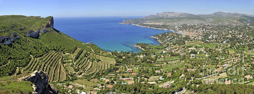 Nature Wall Art featuring the photograph Cassis Village With Vineyards On Mediterranean Coast by Sami Sarkis Photography
