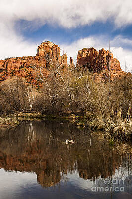Sky Photograph - Cathedral Rock Reflections Portrait 1 by Darcy Michaelchuk