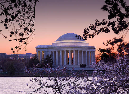 Usa Photograph - Cherry Blossom And Jefferson Memorial by Steven Heap
