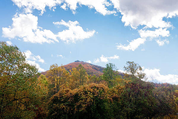 Photograph - Colors On The Blue Ridge by Rob Narwid
