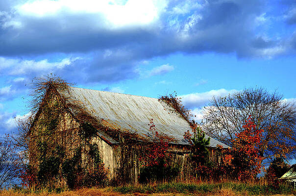 Nature Wall Art featuring the photograph Country Barn by La Dolce Vita