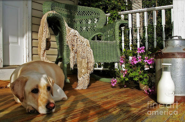 Country Photograph - Country Charm by Susan Candelario