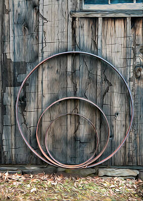 Country Photograph - Country Rings by Susan Candelario