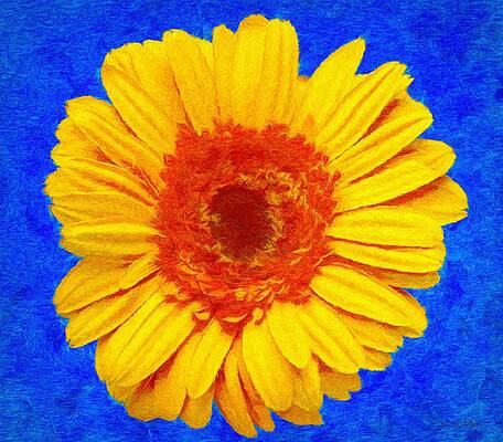 Vibrant Yellow Flower on Blue Wall Art