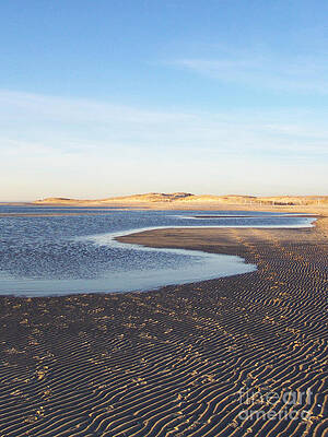 Cape Henlopen Wall Art featuring the photograph Delaware Bay At Cape Henlopen - Lewes DE by Roche Fine Art