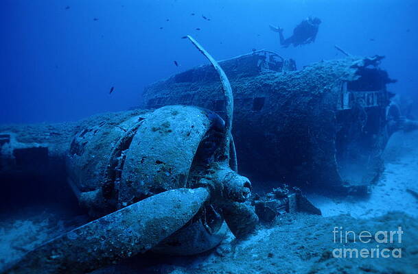 Sunken WWII Airplane Wreck Wall Art