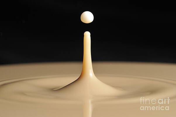 Wall Art featuring the photograph Drop Of Milk Splashing Into Coffee by Sami Sarkis Photography