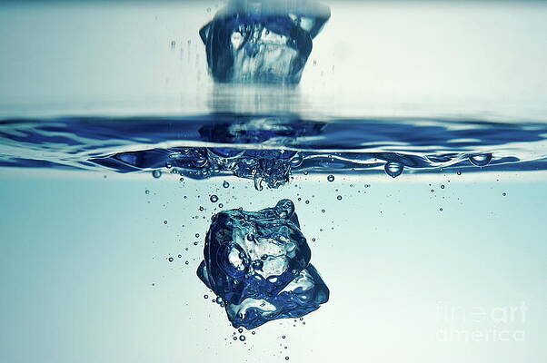 Wall Art featuring the photograph Droplet Forming Bubbles Underwater by Sami Sarkis Photography