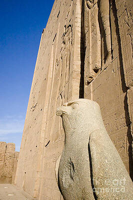 Falcon Statue At Edfu Print