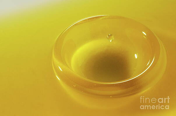 Wall Art featuring the photograph Faling Droplet Into Oil Surface by Sami Sarkis Photography