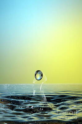 Wall Art featuring the photograph Faling Droplet Into Water Surface by Sami Sarkis Photography