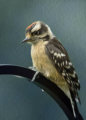 Black And White Wall Art featuring the photograph Flowing Downy Woodpecker by Bill and Linda Tiepelman