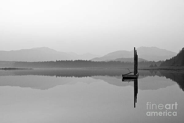 Alaska Wall Art featuring the photograph Foggy Ocean Morning by Darcy Michaelchuk