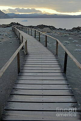 Landscape Photograph - Footbridge On Volcanic Landscape by Sami Sarkis Photography