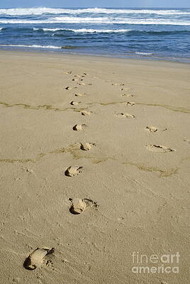 Beach Wall Art featuring the photograph Footprints On Sandy Beach Leading To Sea by Sami Sarkis Photography