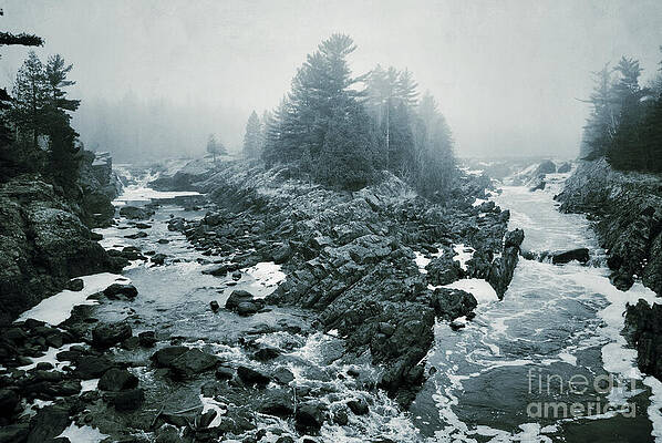 Wall Art featuring the photograph Fork In The Fog by Duluth To Door County Photography