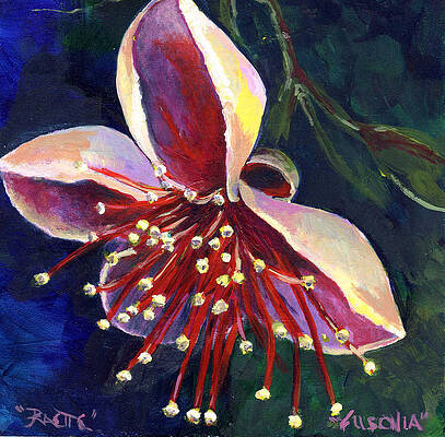 Wall Art featuring the painting Fuchsia by Raette Meredith