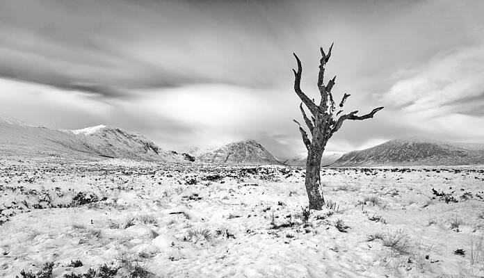 Minimalist Wall Art featuring the photograph Glencoe Winter by Grant Glendinning