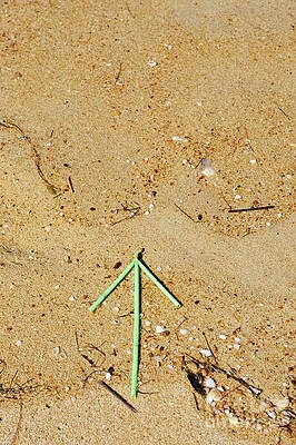 Beach Wall Art featuring the photograph Green Plastic Arrow On Sand by Sami Sarkis Photography