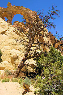 Utah Photograph - Grosvenor Arch by Adam Jewell