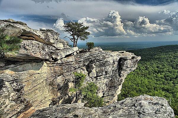 Dramatic Cliff View Wall Art