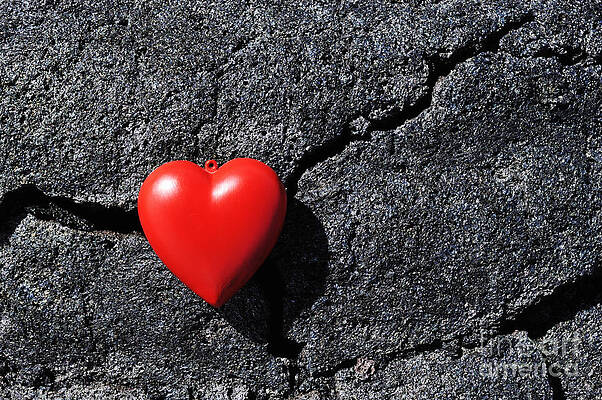 Outdoors Wall Art featuring the photograph Heartshape On Cold Black Lava by Sami Sarkis Photography
