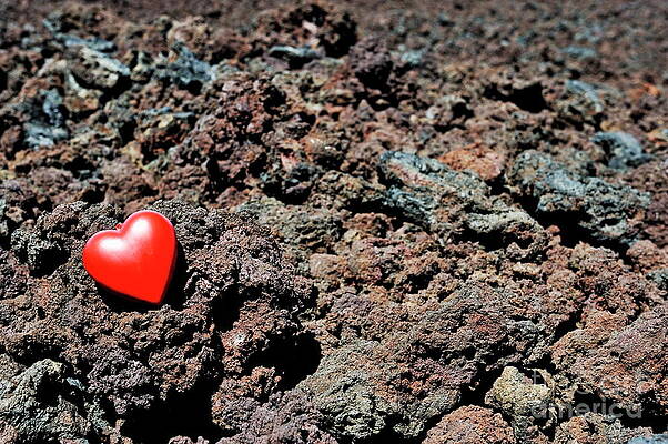 Wall Art featuring the photograph Heartshape On Cold Lava Rocks by Sami Sarkis Photography
