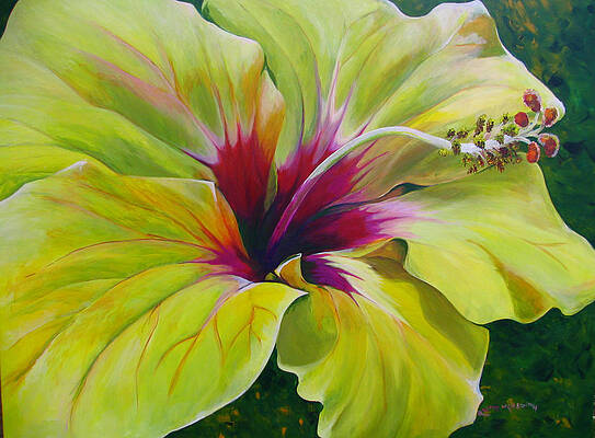 Wall Art featuring the painting Hibiscus by Raette Meredith