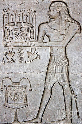 Egypt Wall Art featuring the photograph Hieroglyph At Abydos by Darcy Michaelchuk