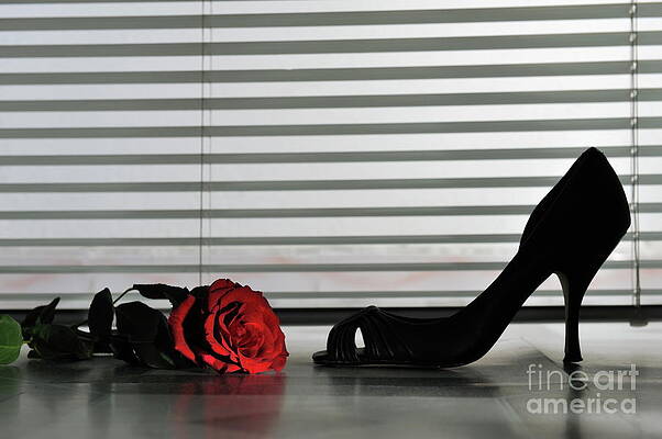 France Photograph - High Heeled Shoe By Blinds Nearby A Rose On Floor by Sami Sarkis Photography