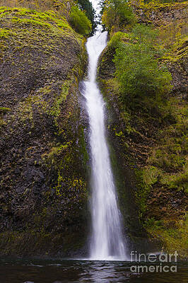 Wall Art featuring the photograph Horsetail Falls Oregon by Darcy Michaelchuk