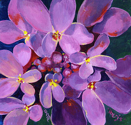 Wall Art featuring the painting Iberis by Raette Meredith