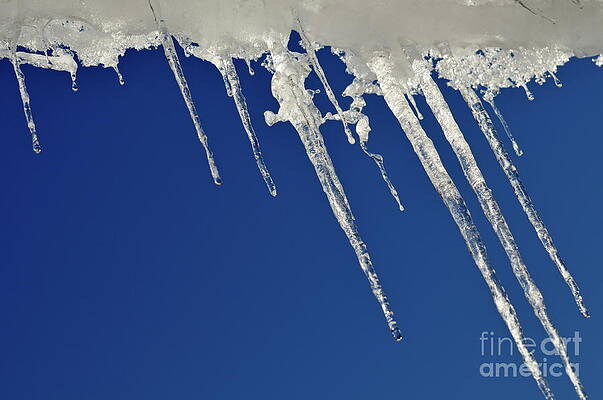 Nature Wall Art featuring the photograph Icicles On Blue Sky by Sami Sarkis Photography