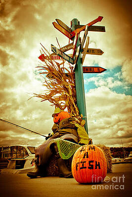 Wall Art featuring the photograph Jack O' Lantern Fishing Off Egg Harbor Marina by Duluth To Door County Photography