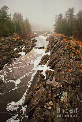 Wall Art featuring the photograph Jay Cooke Under Fog by Duluth To Door County Photography