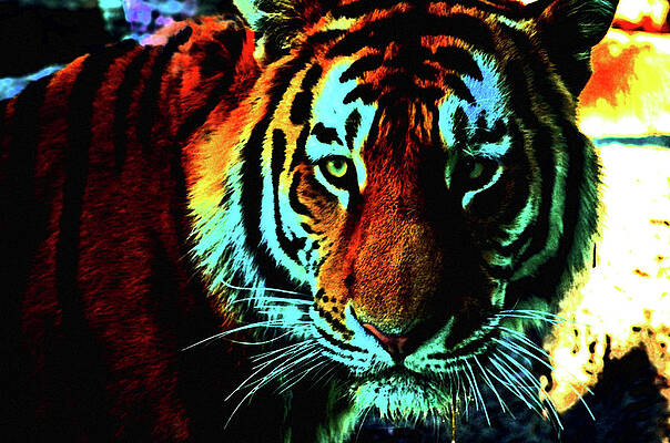 Nature Wall Art featuring the photograph Jungle Cat by La Dolce Vita